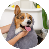 Pet Supplies